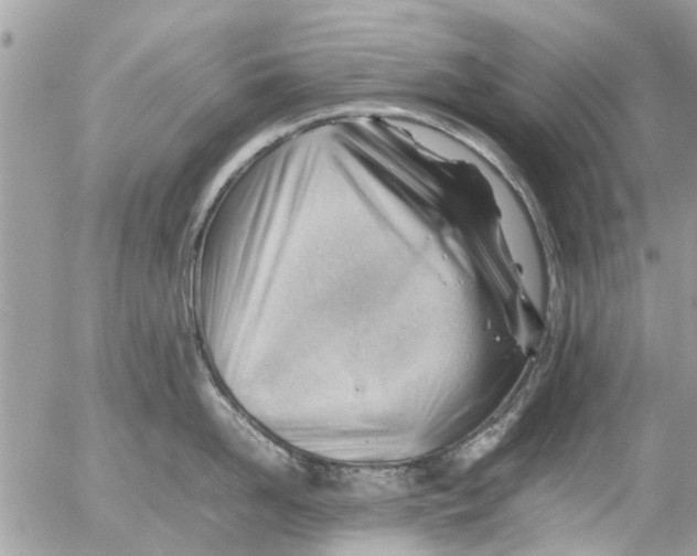 X0000054430958200508262344