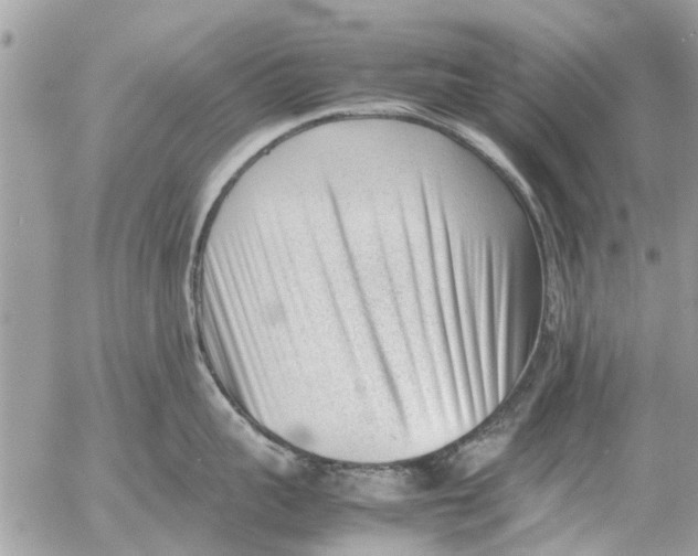 X0000054430959200508262344