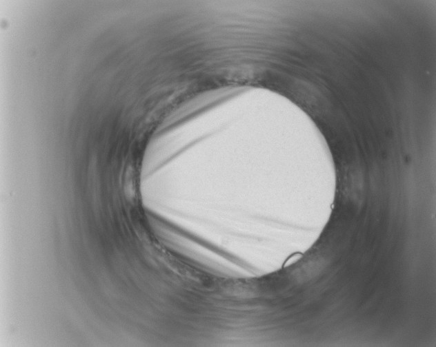 X0000054430962200508262343