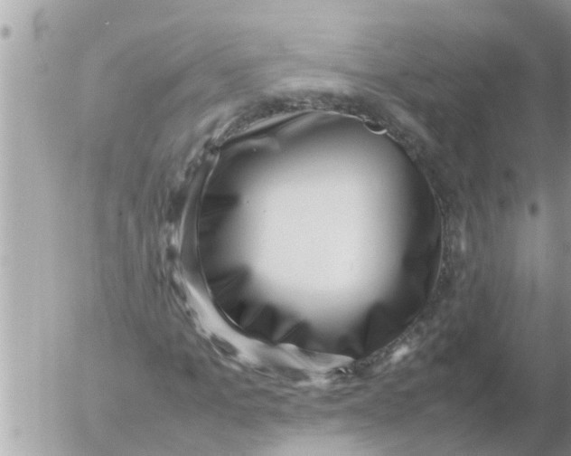 X0000054430965200508262343