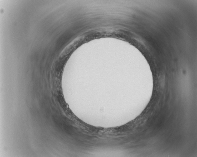 X0000054430967200508262343