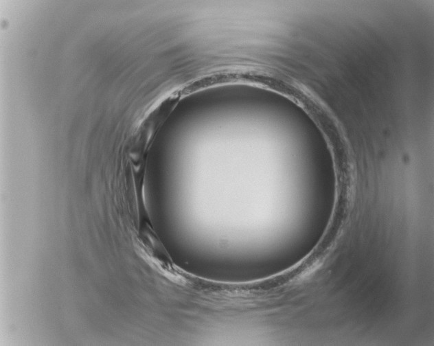 X0000054430969200508262343