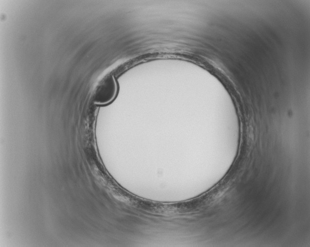 X0000054430971200508262343