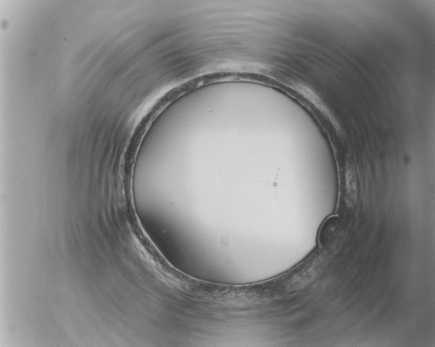 X0000054430972200508262343