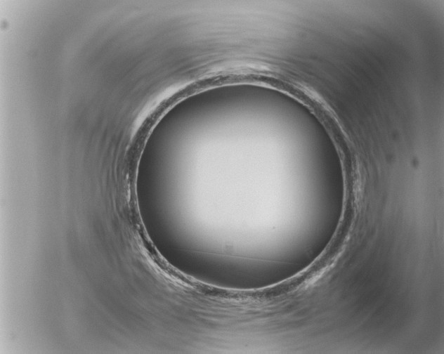 X0000054430973200508262343