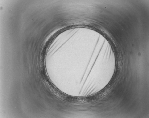 X0000054430975200508262343