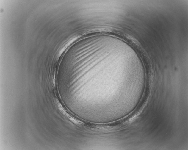 X0000054430977200508262343