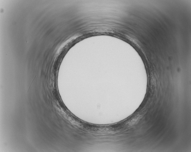 X0000054430979200508262343