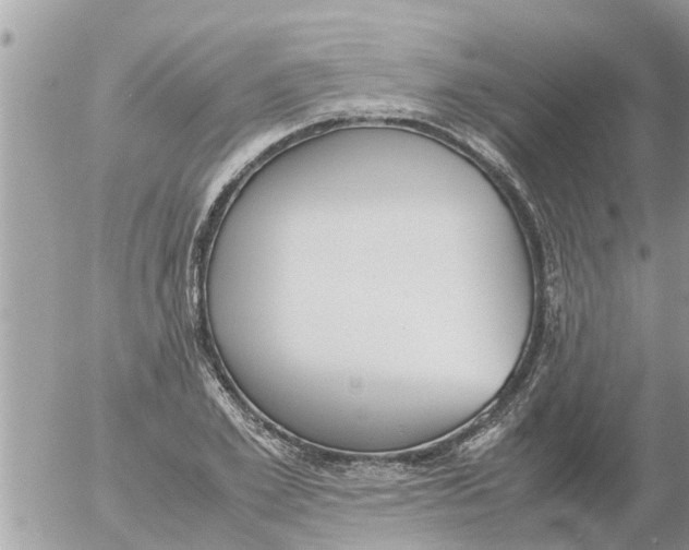 X0000054430981200508262343