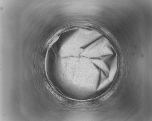 X0000054430985200508262343