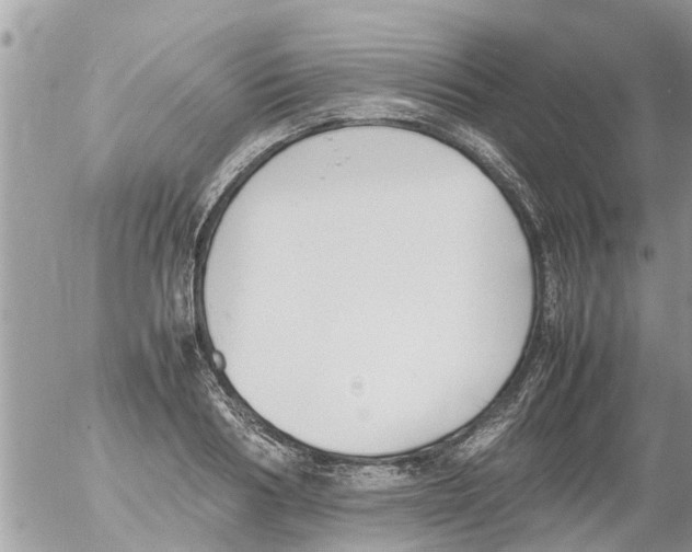 X0000054430986200508262343