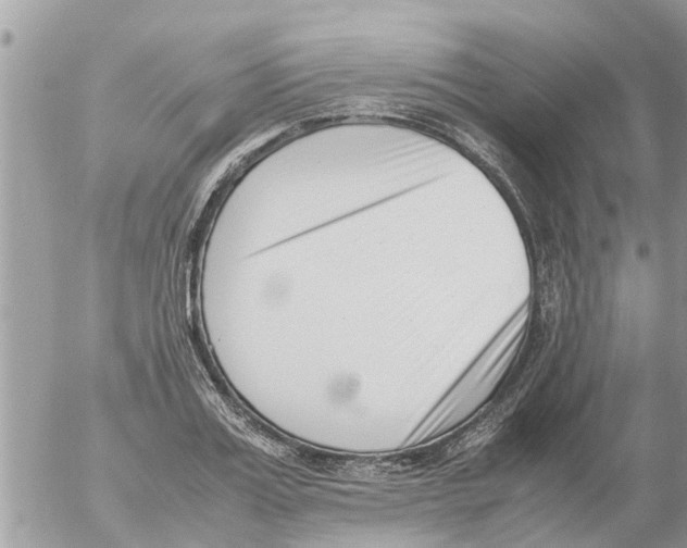 X0000054430987200508262343