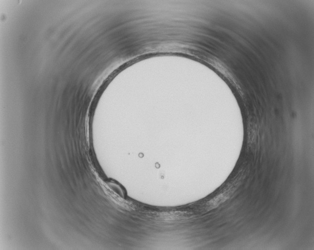 X0000054430988200508262343