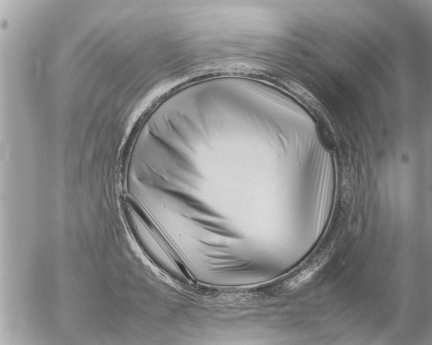 X0000054430989200508262343