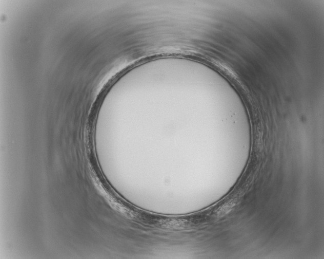 X0000054430991200508262343