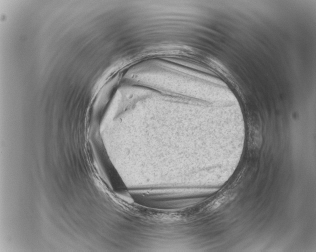 X0000054430994200508262343