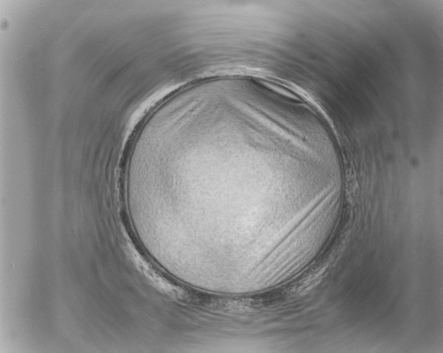 X0000054430995200508262343