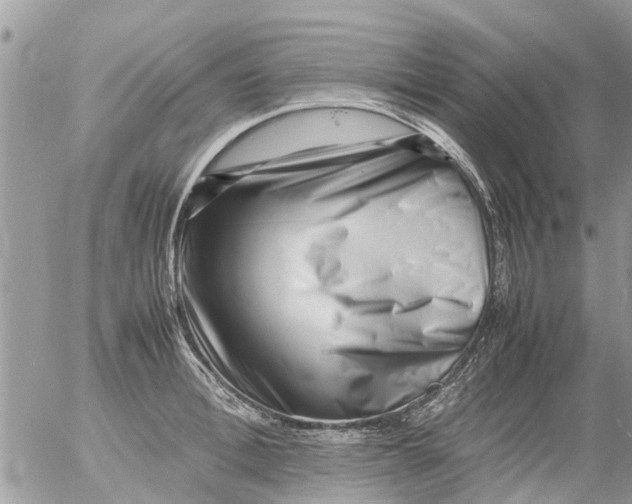 X0000054430996200508262343