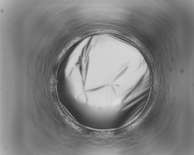 X0000054431001200508262343