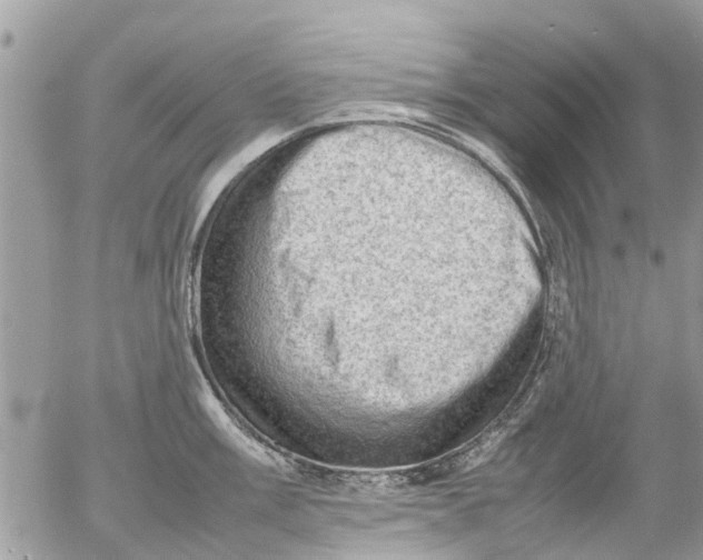 X0000054431003200508262343