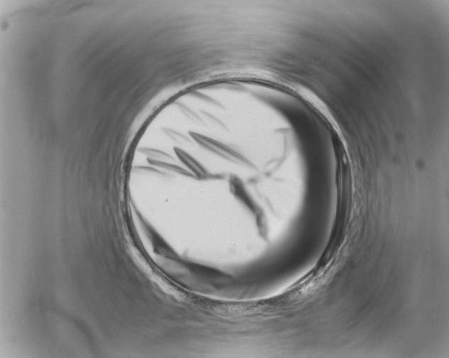 X0000054431005200508262343