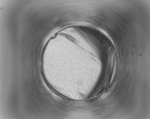 X0000054431007200508262342