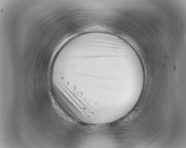 X0000054431008200508262342