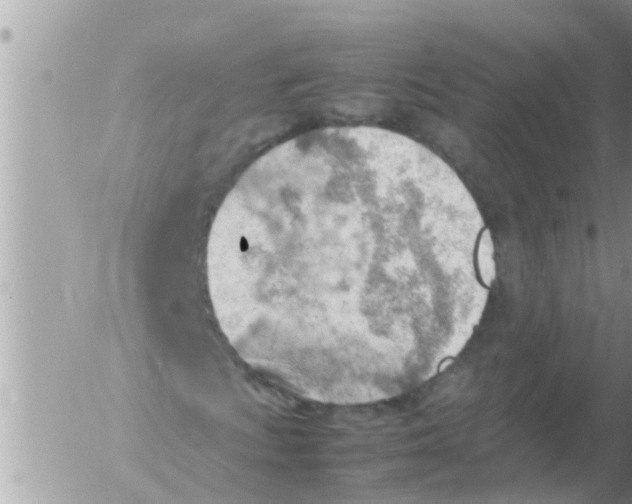 X0000054431009200508262342