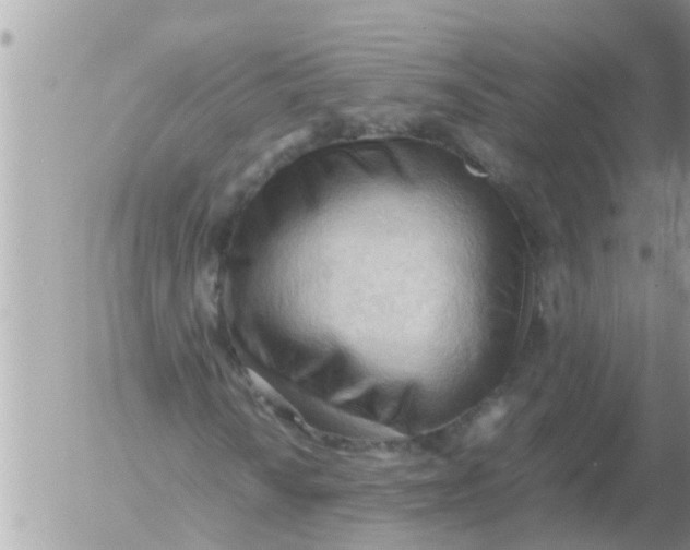 X0000054431010200508262342