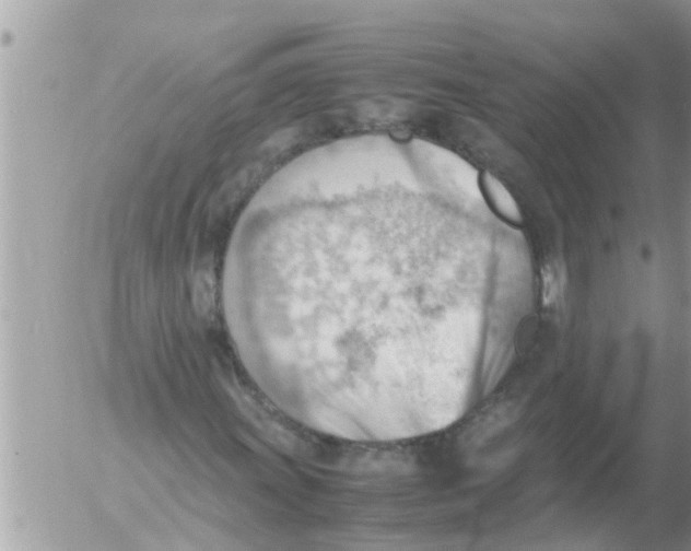 X0000054431011200508262342