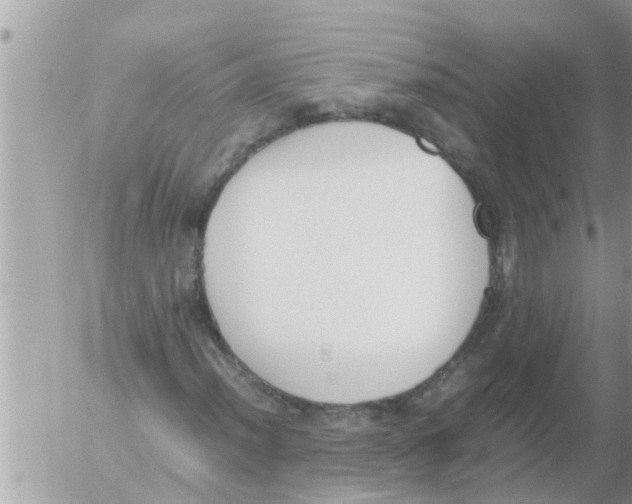 X0000054431012200508262342