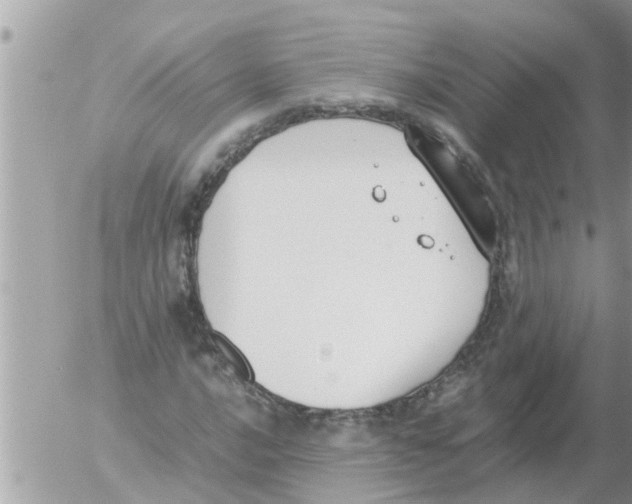 X0000054431016200508262342