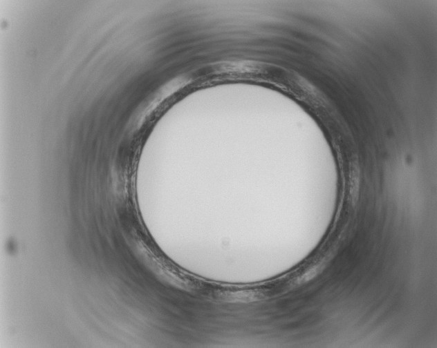 X0000054431017200508262342