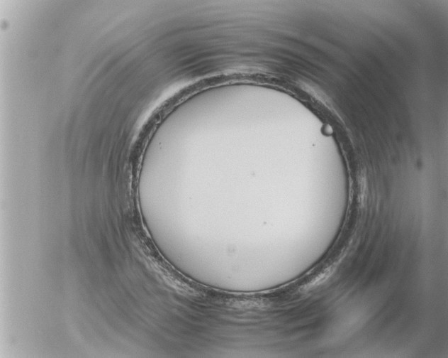 X0000054431021200508262342