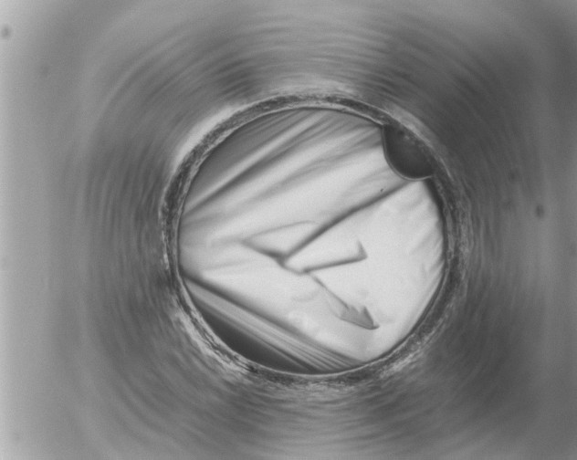 X0000054431022200508262342