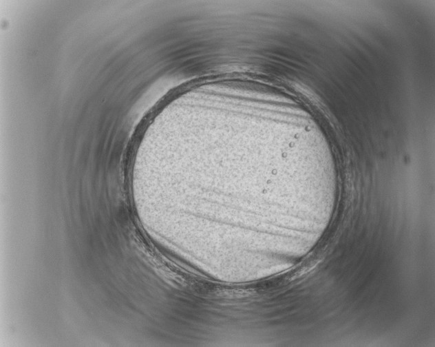 X0000054431023200508262342