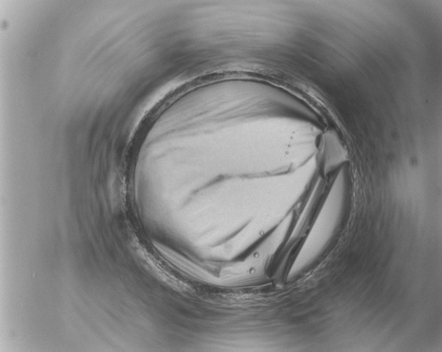 X0000054431024200508262342