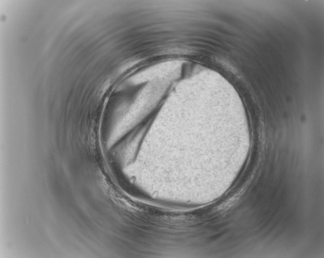 X0000054431025200508262342