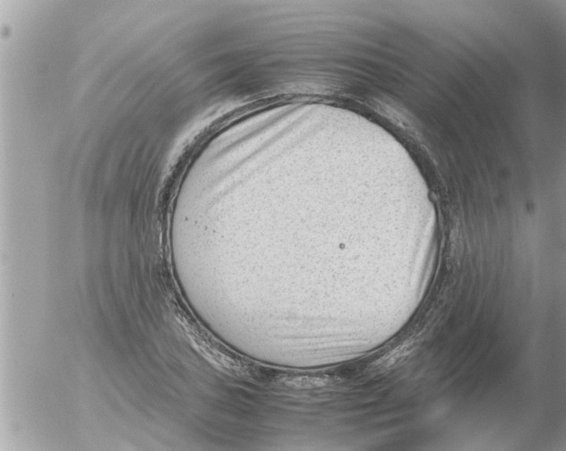 X0000054431027200508262342