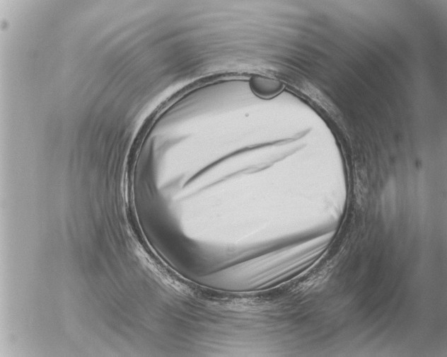 X0000054431028200508262342