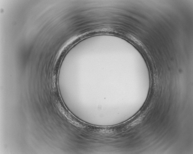 X0000054431029200508262342