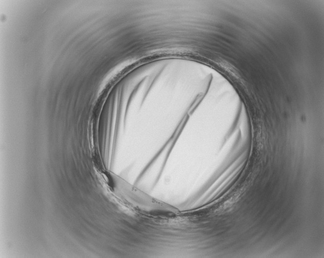 X0000054431030200508262342