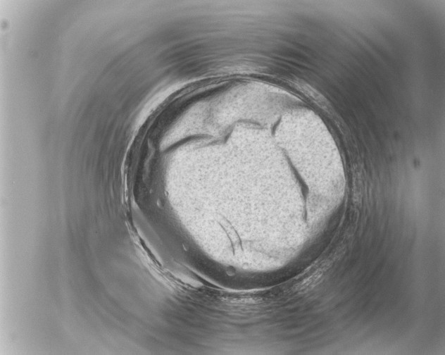 X0000054431031200508262342