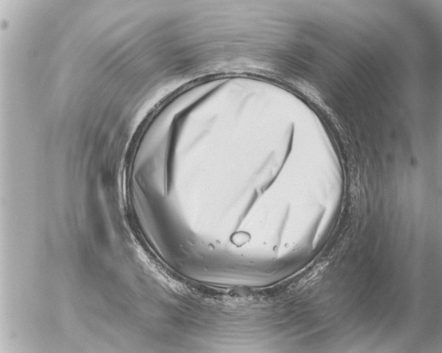 X0000054431032200508262342