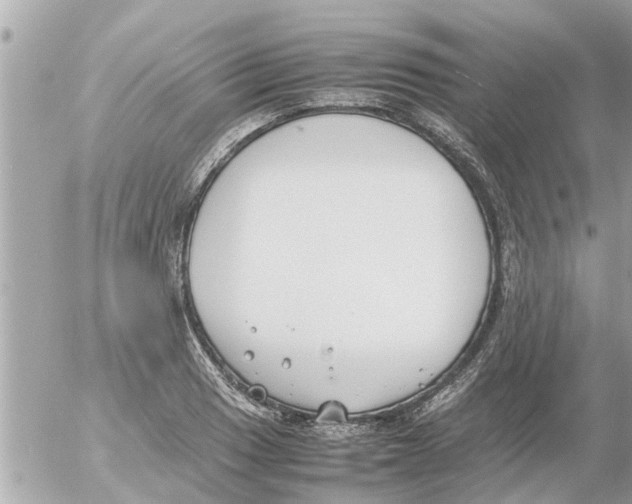 X0000054431033200508262342