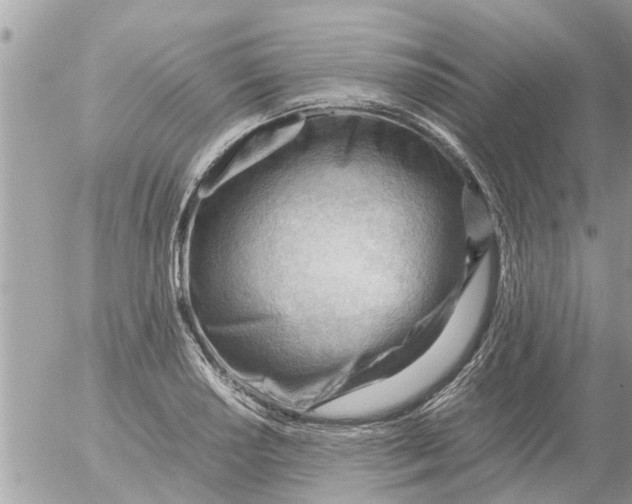 X0000054431034200508262342