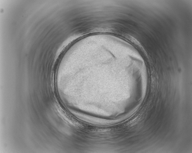 X0000054431035200508262342