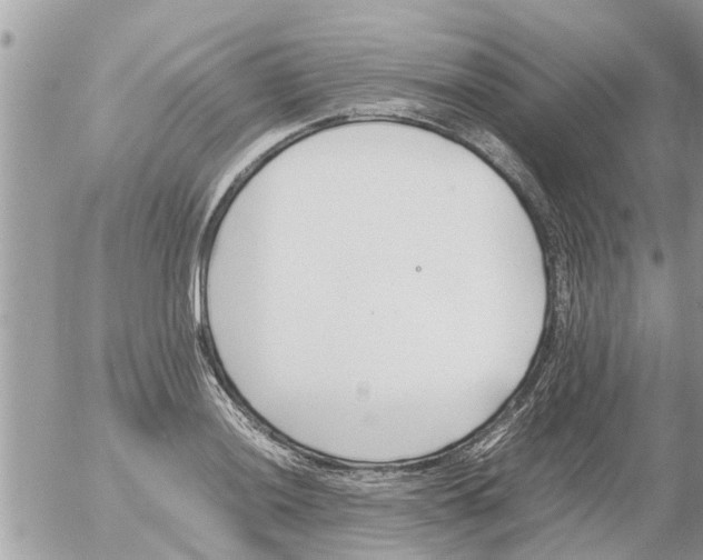 X0000054431036200508262342