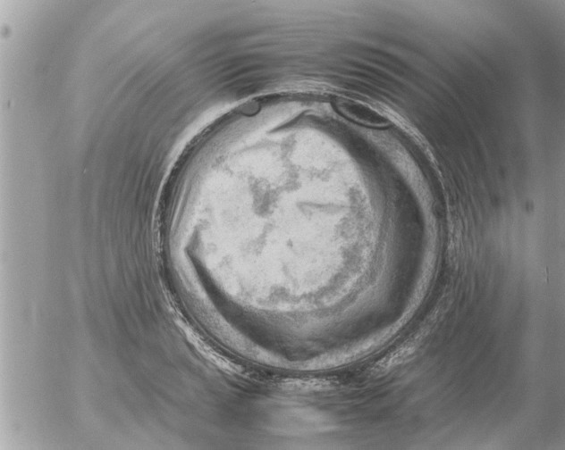 X0000054431037200508262342