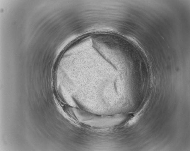 X0000054431038200508262342